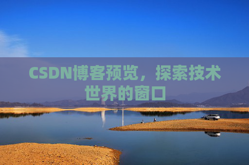 CSDN博客预览,探索技术世界的窗口